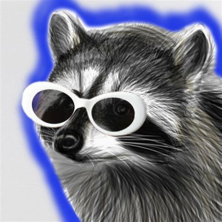 RaccoonEggs